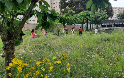 La cour Oasis, une alliée pour mettre en œuvre la «santé globale» (Démarche One Health).