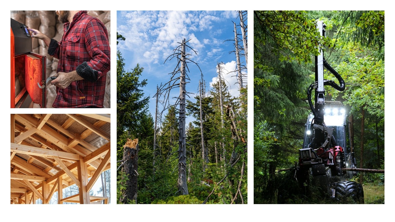 Les filières-bois sont-elles bien enracinées P37