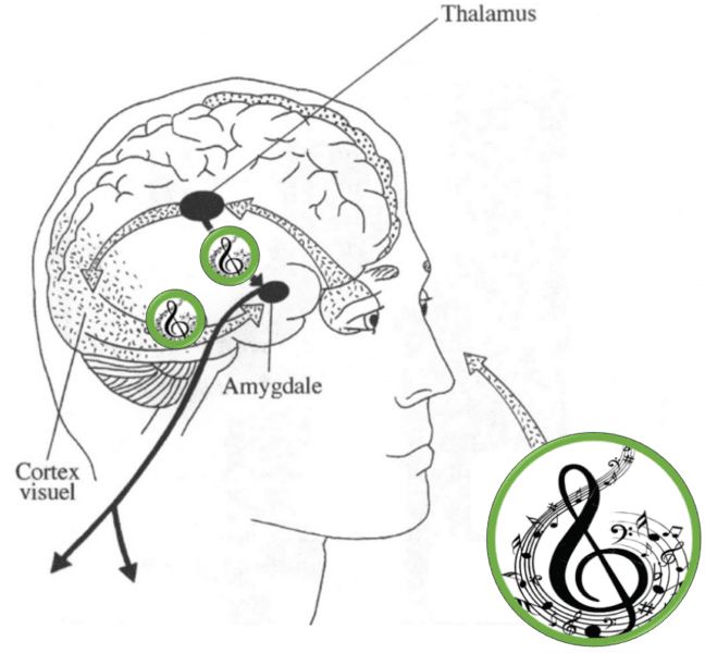Mot de la promo sur la musique et l'approche émotionnelle puissante vers la nature
