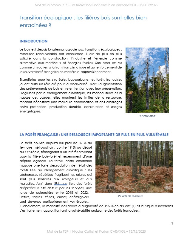 Page-mot-promo37_2 Mot-P37_Page-de-garde