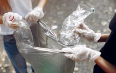 Vers une politique zéro déchets dans les entreprises