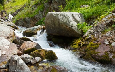Du droit À l&rsquo;eau au droit DE l&rsquo;eau : quel statut pour cet élément vital