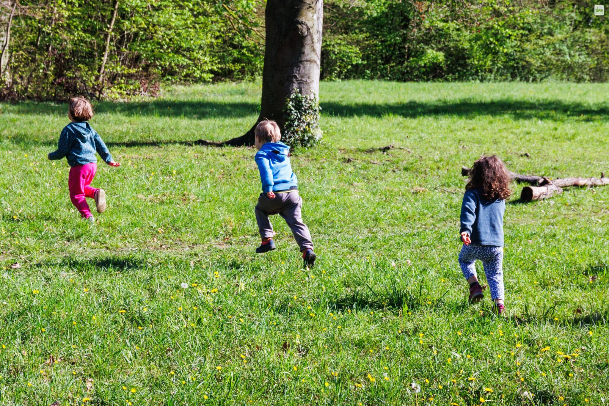 Sortir, prévenir et guérir