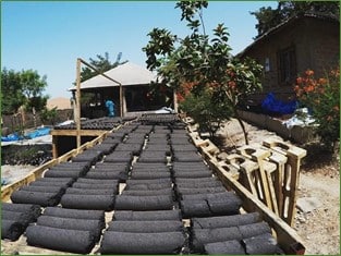 Briquette de bio-charbon