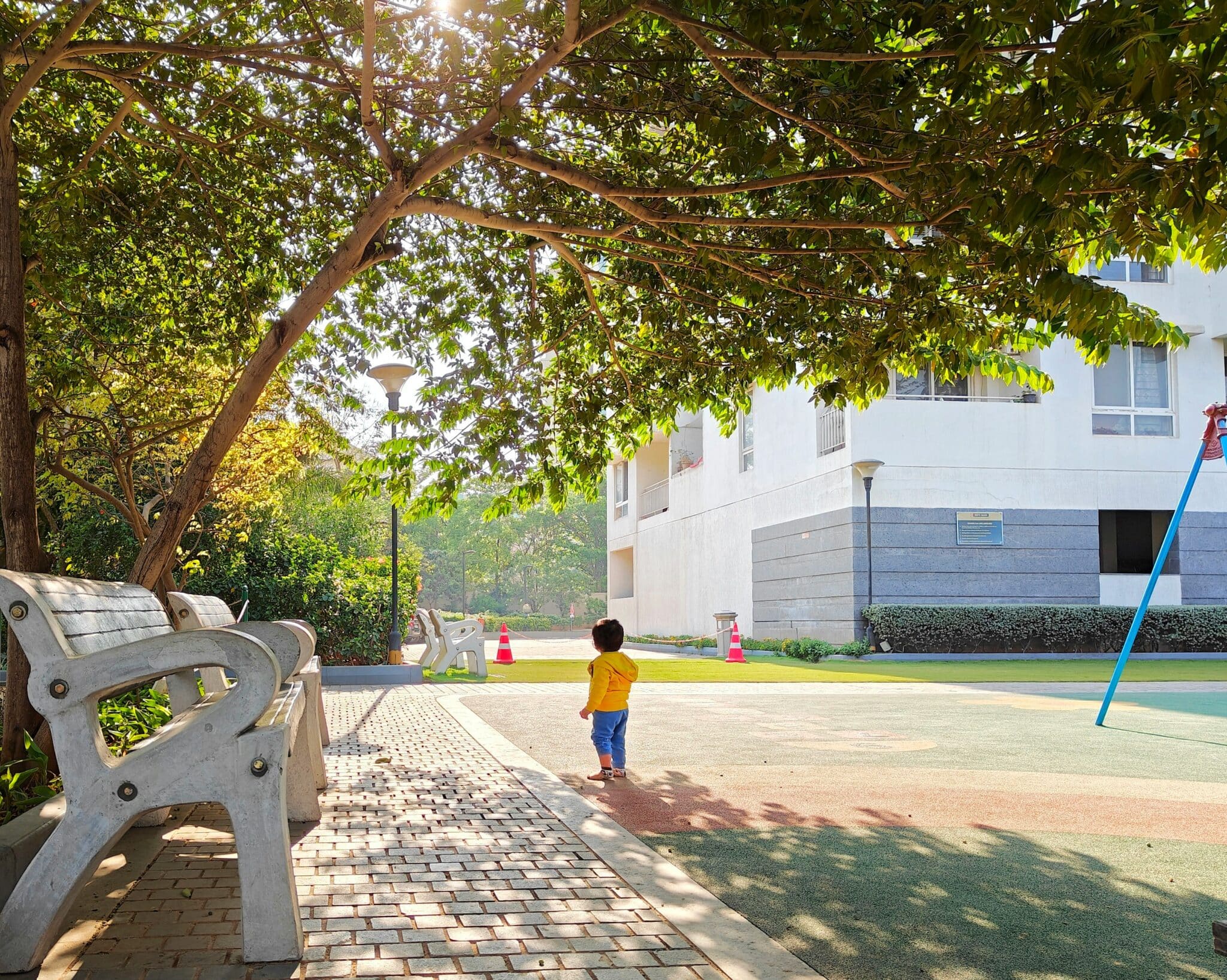 Colloque légitimité des savoirs et expertise citoyenne
