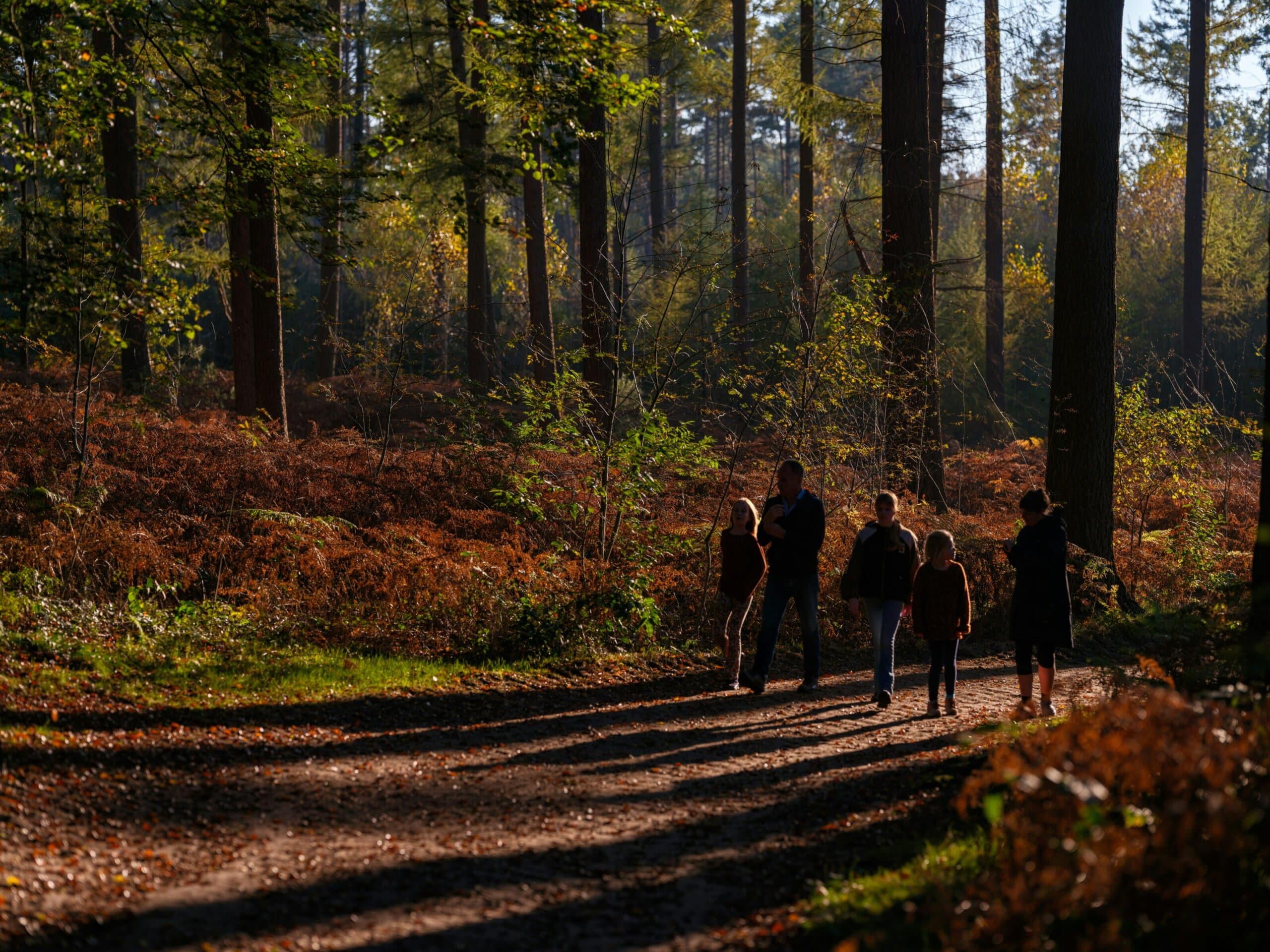Atelier Bains de forêt