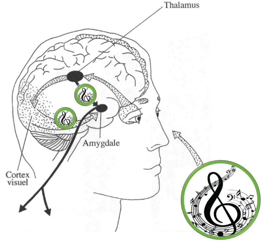 Mot de la promo sur la musique et l'approche émotionnelle puissante vers la nature