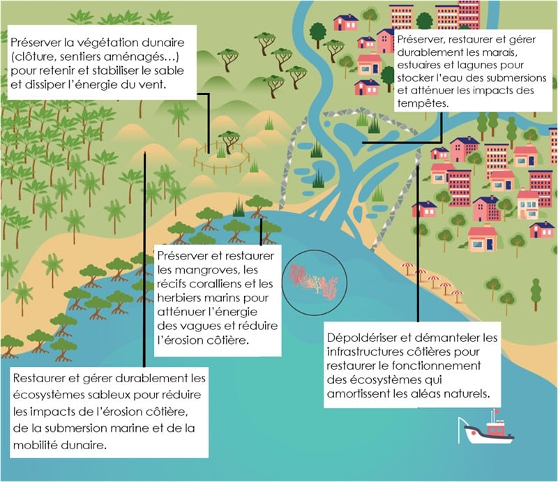 Les solutions fondées sur la nature (Crédit UICN)