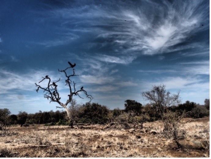 Parc national-cacao-mot7