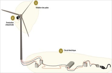 Circuit électrique de l'éolienne