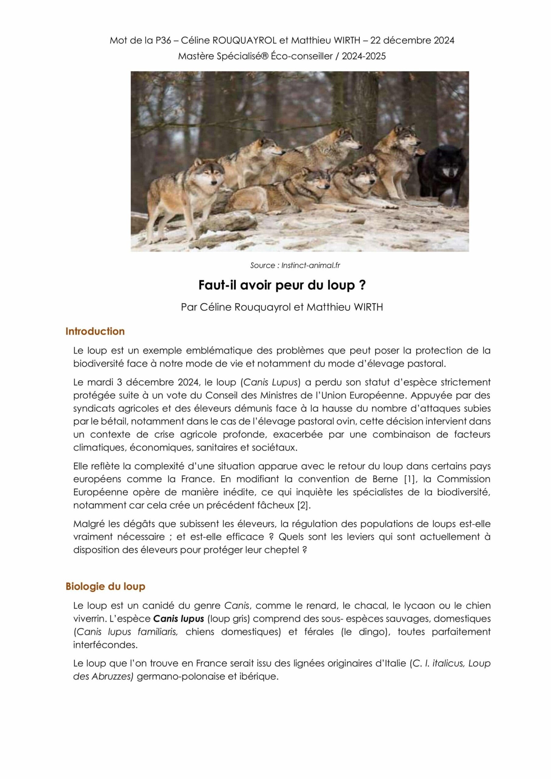 Faut-il avoir peur du loup