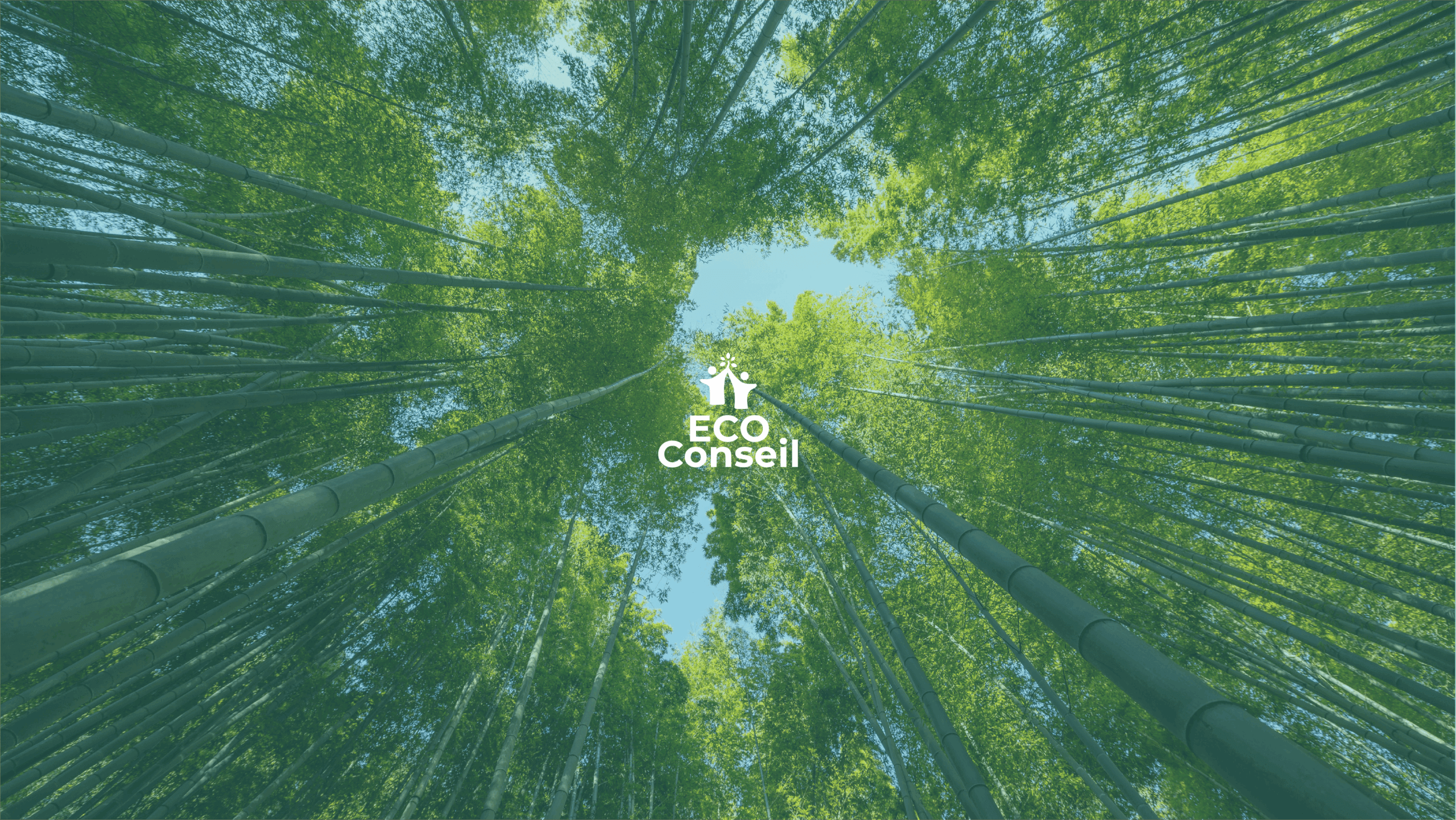 Banniere-Youtube_ 2561x 1441px