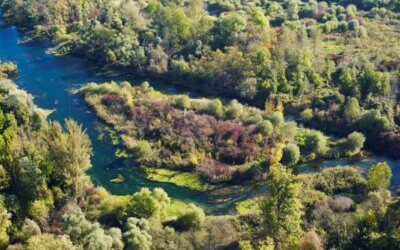 L’eau en Alsace : le mirage de l’abondance