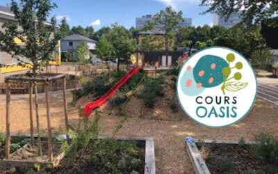 Ma Cour Oasis : un monde vivant végétalisé et pédagogique I OasiSavoir