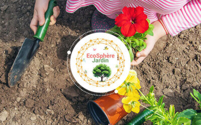 ÉcoSphère : faire de la transition écologique un projet collectif au sein des écoles