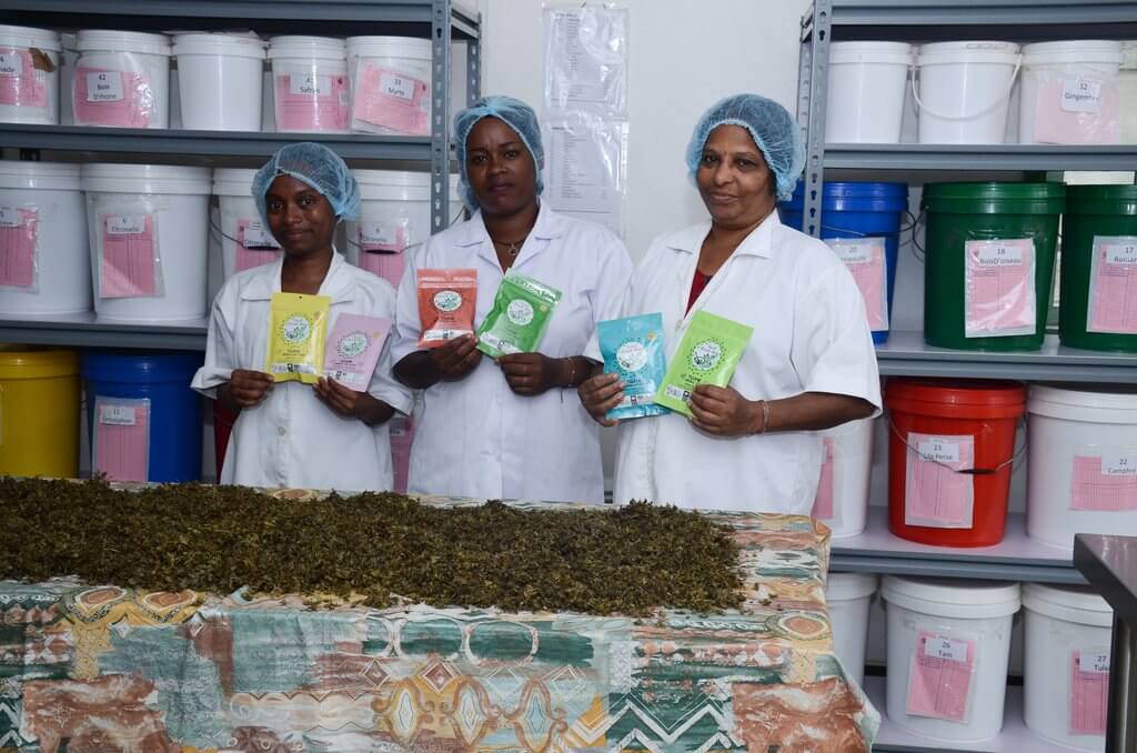 3 femmes mauriciennes en blouse blanche debout devant une table de plantes séchées tenant dans leur mains des sachets de leur plantes médicinales en tisanes, de leur marque secret grand-mère