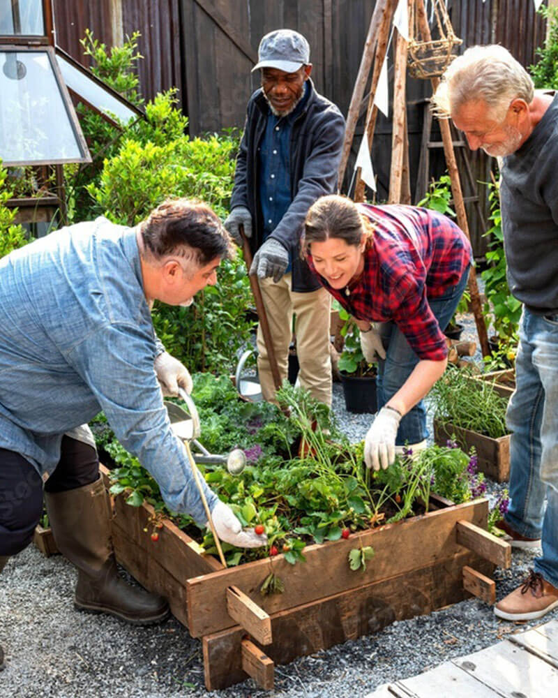 jardins-partages-vegetalisation-participative-eco-conseil quatre personnes entourant un jardin partagé