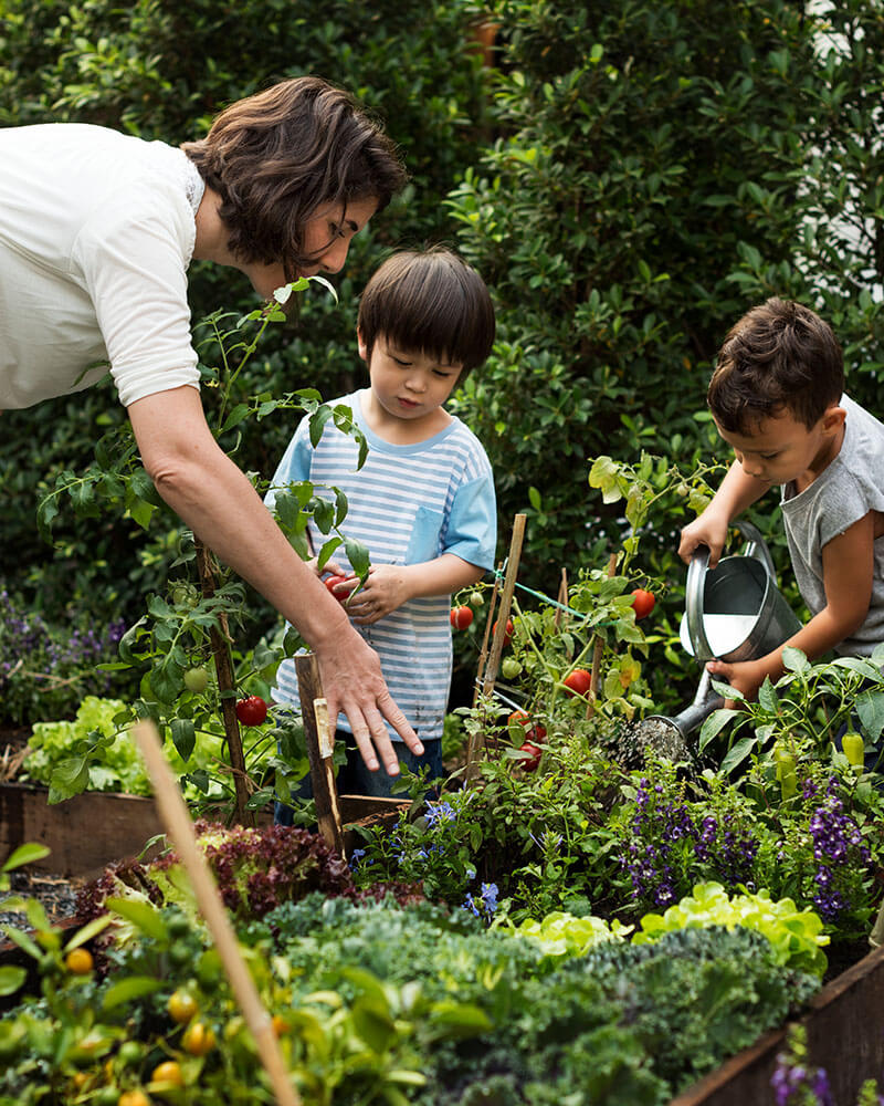 pedagogie-du-dehors-eco-conseil maitresse et deux enfants jardinant dans un jardin pédagogique